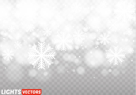 Winter with snow in transparent background