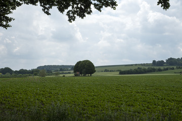 Landscape in the province of Limburg