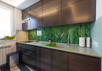 Modern kitchen interior with elements