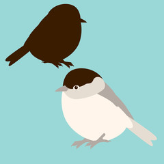  bird tit vector illustration  style flat black silhouette set © wectorcolor