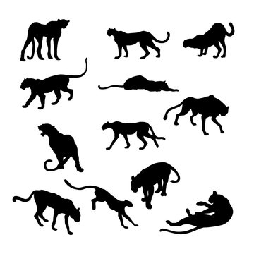 cheetah vector illustration black silhouette big set
