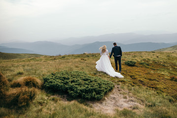 Fototapeta premium A beautiful couple of brides walking outside