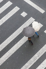 Pedestrians with umbrellas crossing the street