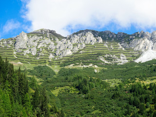 Lawinenzäune in den Alpen