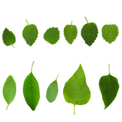 Nature background. Set