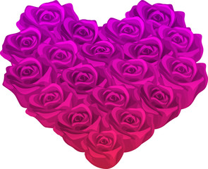 Pink and Purple Rose Heart