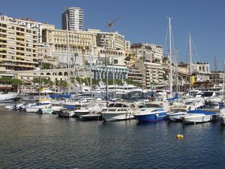 The Harbour