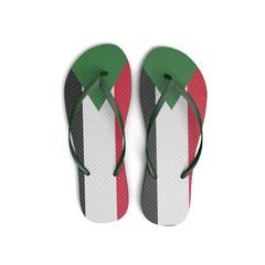 Sudan flag flip flop sandals on a white background. 3D Rendering