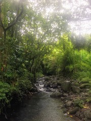 Obraz premium Wędrówki