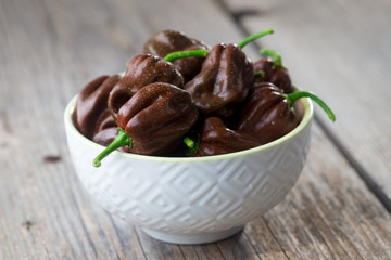 Habanero chocolate chili