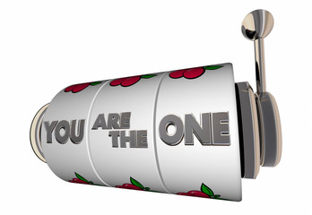 You Are the One Slot Machine Wheels Dials Chosen 3d Illustration