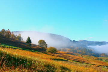 Fototapeta premium Morning mist in the Carpathians in the autumn.