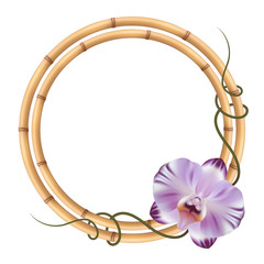 Realistic bamboo frame with orchid flower.