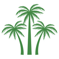 Fototapeta premium Tree palms nature icon vector illustratino graphic design