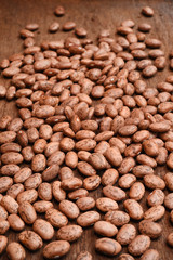 Pinto bean for background 