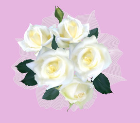 bouquet with five wite roses on pink