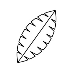 Leaf eco symbol icon vector illustratino graphic design