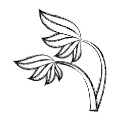 Tree palms nature icon vector illustratino graphic design