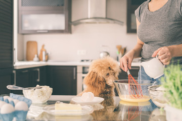 Young woman with her dog is cooking on the kitchen .  
