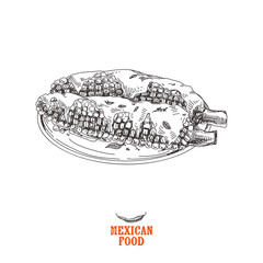 Vintage vector hand drawn JMexican food sketch Illustration.