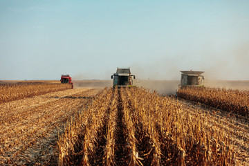 It's harvest time