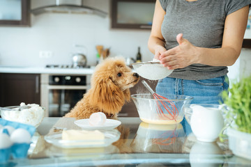 Young woman with her dog is making breakfast . 