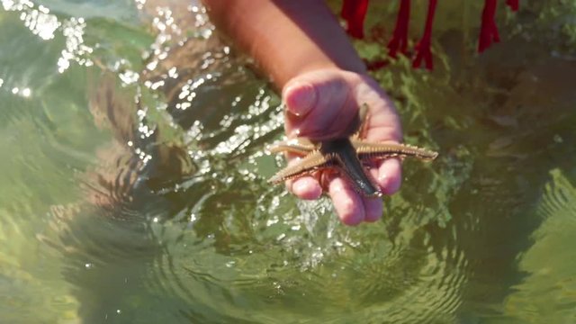 Girl playing with small live sea star she found in the sea. Showing it in her open hand. In slow-motion hd.