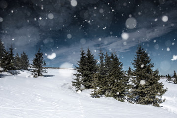Fototapeta premium Christmas background with snowy landscape