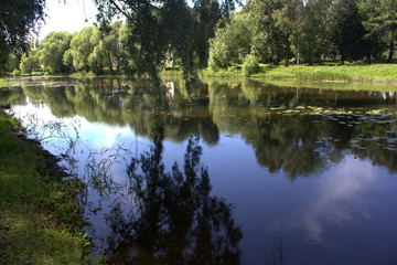 Summer landscape with river and trees