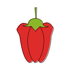bell pepper vegetable icon image vector illustration design 