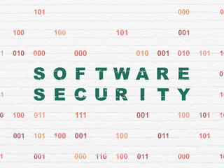 Privacy concept: Software Security on wall background