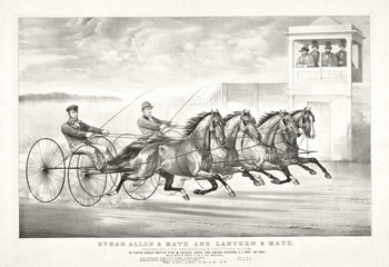 Old illustration of a trotting horse chariots. By Cameron, publ, in New York, ca. 1870 © Mannaggia