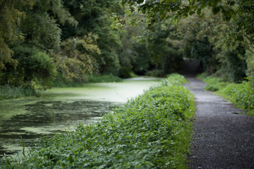 Fototapeta na wymiar Walk along the canal