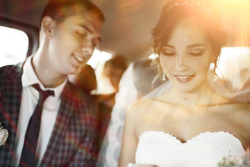 Wedding, the bride and groom on the wedding day photosession