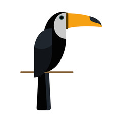 Fototapeta premium toucan tropical bird icon image vector illustration design 