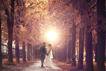Newlyweds groom and bride walking in autumn park