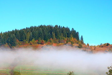Naklejka na ściany i meble Morning mist in the Carpathians in the autumn.