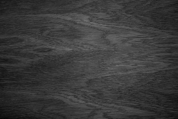 Fototapeta premium Natural wood texture. Oak veneer.