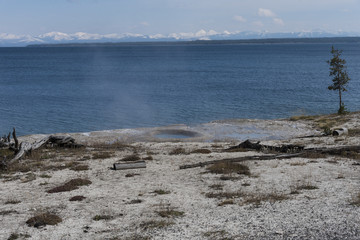 Yellowstone National Park Geyser