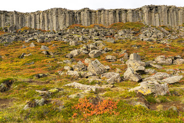 Gerduberg Cliffs Iceland