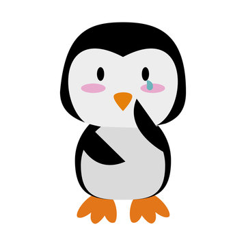 penguin crying cute animal cartoon icon image vector illustration design 
