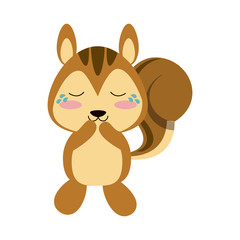 squirrel crying cute animal cartoon icon image vector illustration design 