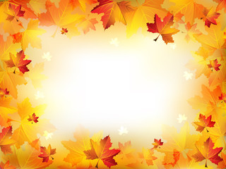 Naklejka na ściany i meble Elegant Autumn Frame Composed of Colorful Leaves on a Blurred Background
