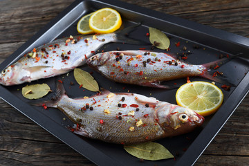 close-up of raw fresh river bream