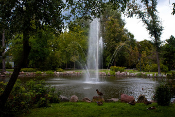 Kaczki i fontanna - atrakcja turystyczna w Parku Zdrojowym, Ciechocinek, Polska 
