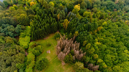 Naklejka premium Top view of the lawn in the middle of the forest.