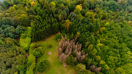 Top view of the lawn in the middle of the forest.
