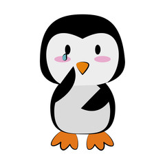penguin crying cute animal cartoon icon image vector illustration design 