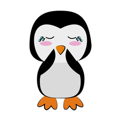 penguin crying cute animal cartoon icon image vector illustration design 