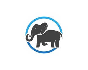 Elephant logo vector design template